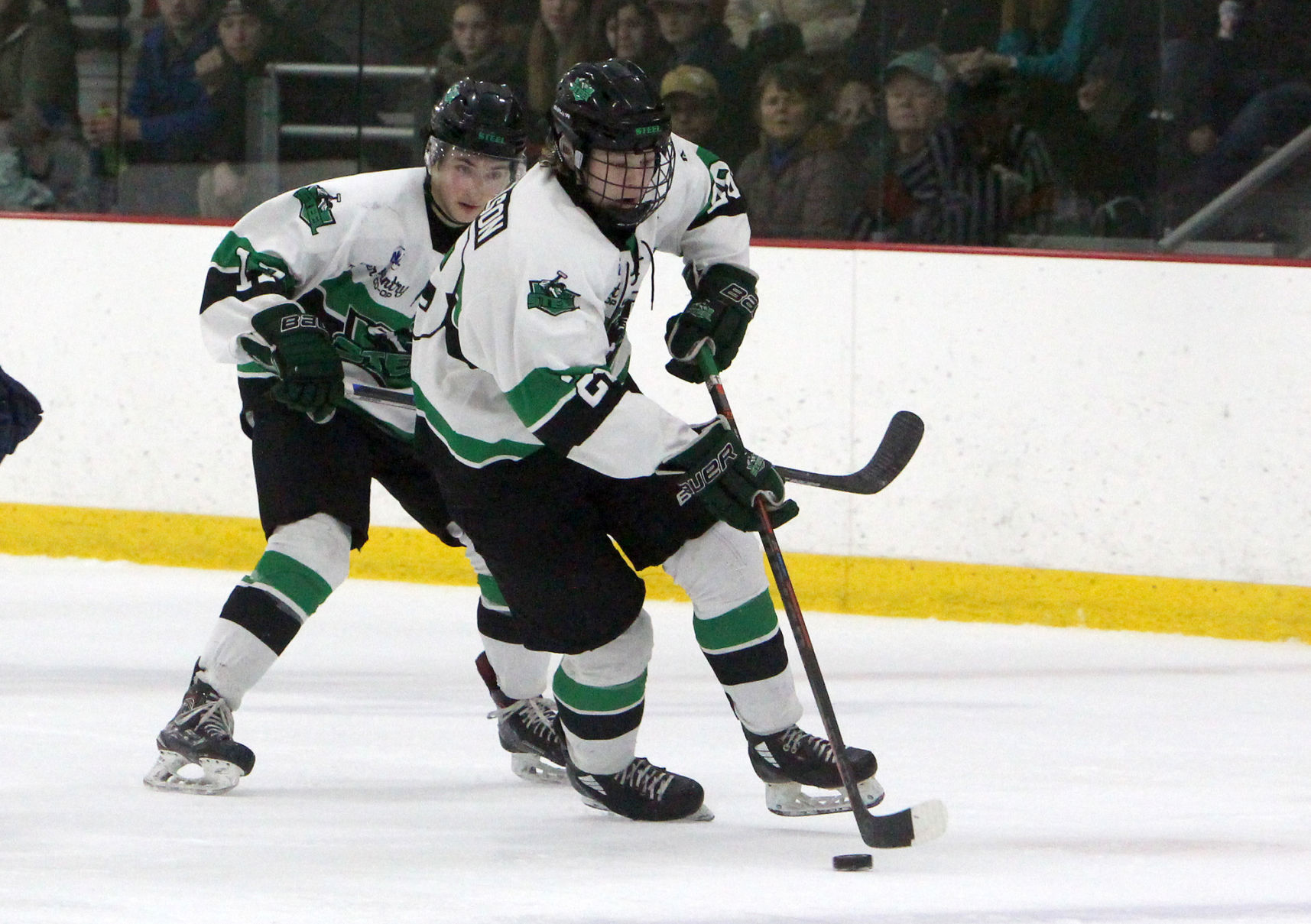 Fairbanks Ice Dogs at Chippewa Steel 12-29-18